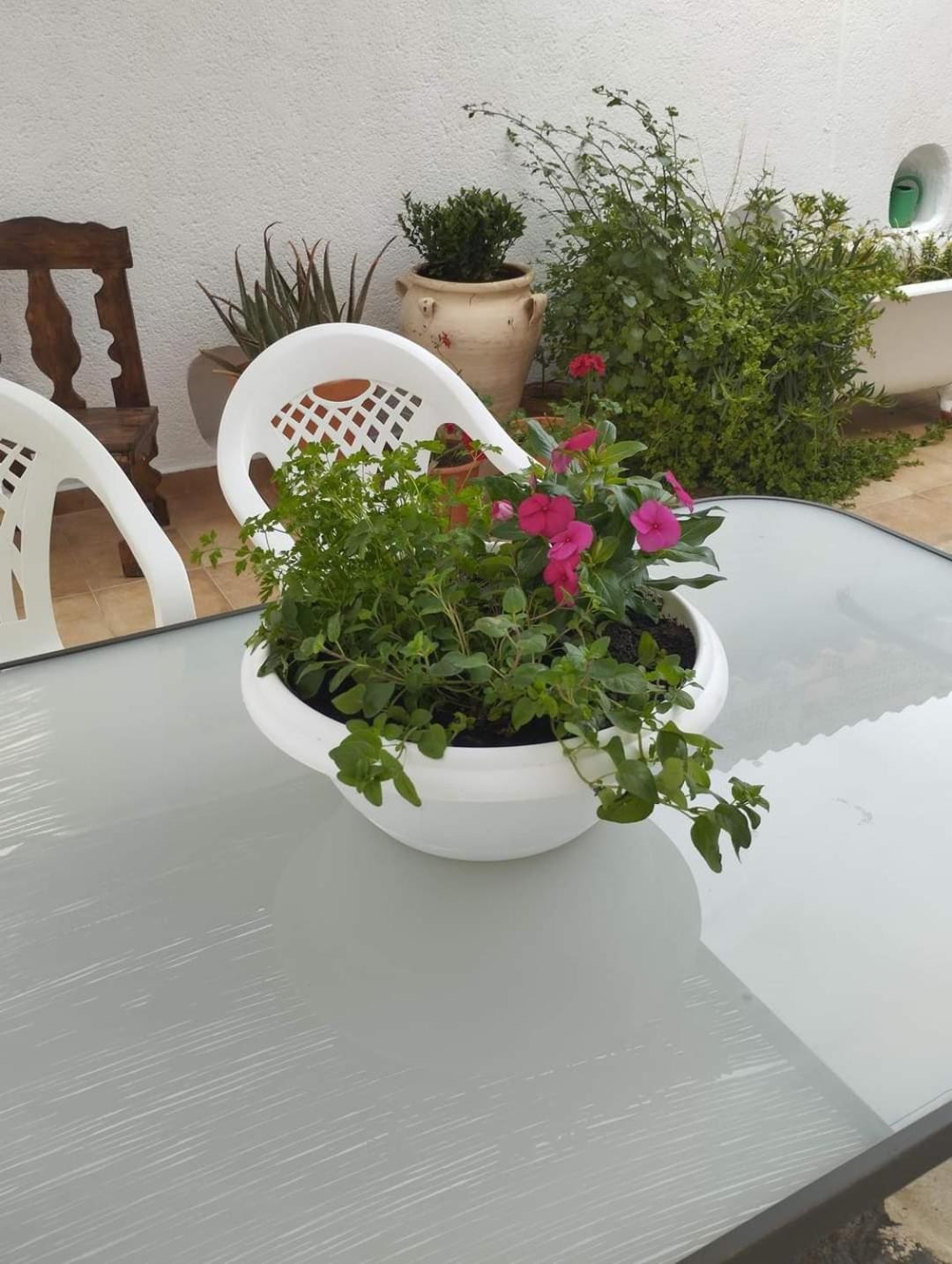 Holiday home En San Carlos Del Valle- Dona Gumersinda