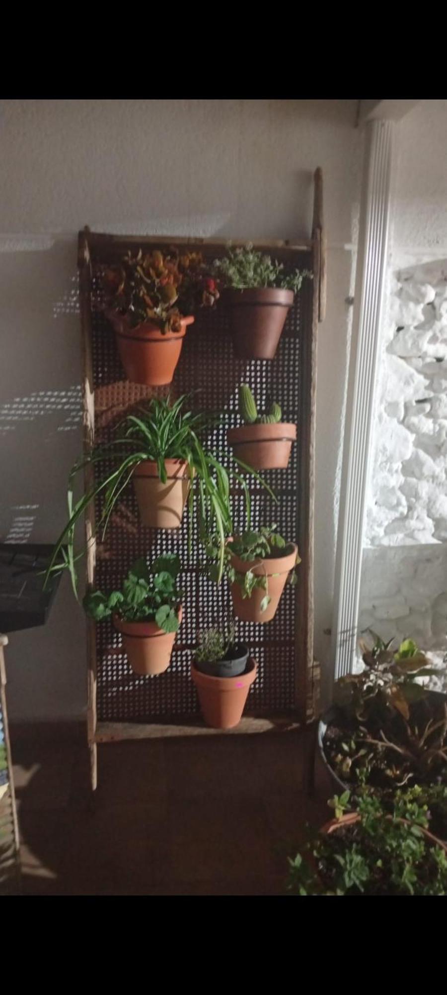 En San Carlos Del Valle- Dona Gumersinda Ferienhaus