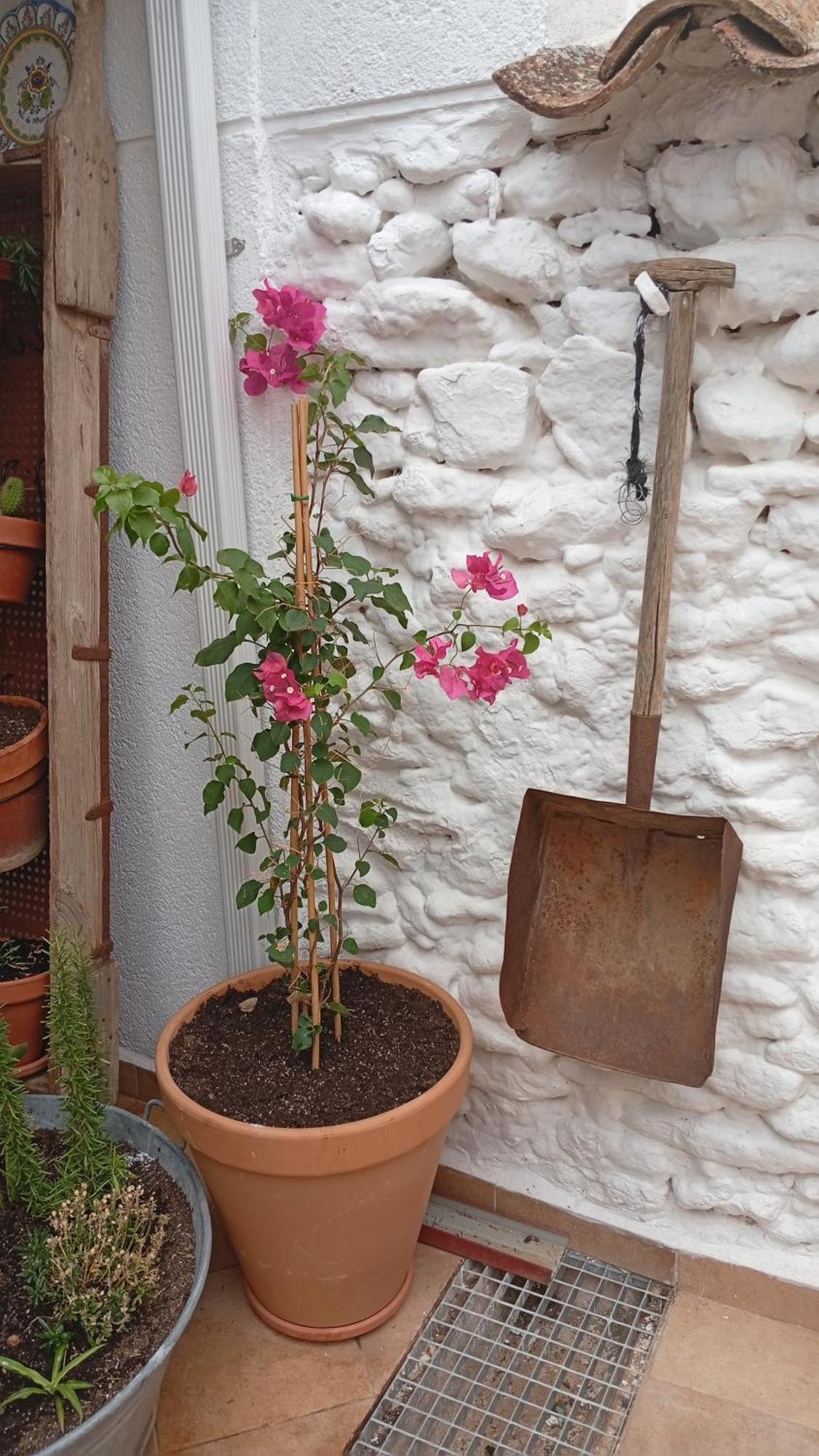 Holiday home En San Carlos Del Valle- Dona Gumersinda San Carlos del Valle